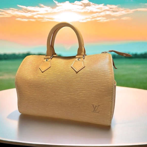 Louis Vuitton Yellow Epi Leather Speedy 25 - Picture 3 of 16